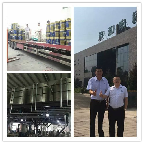 漆強化工--長春盈潤家具廠